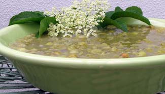 Yoghurt and Cardamom Cream with Green Gooseberry and Elderflower Compote